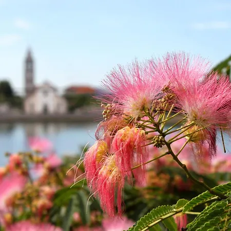 By The Sea - 694 Appartamento